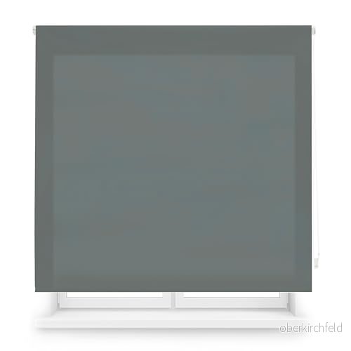 Blindecor Skräddarsydd genomskinlig rullgardin pastellgrå färg 60 x 175 cm (B H) tygstorlek 57 170 genomskinliga fönsterrullgardiner 8434363493810