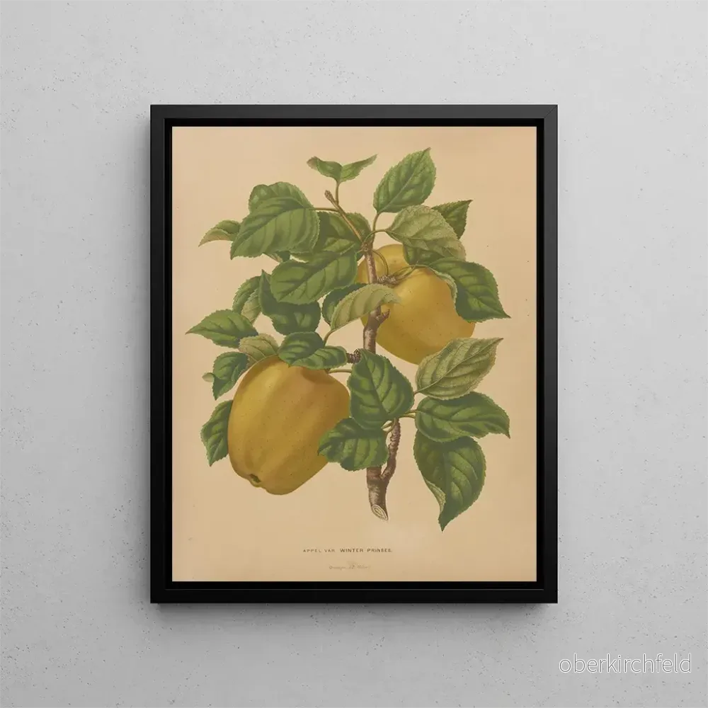 Målning Flore hollandaise et Pomone PL79 - Abraham Jacobus Wendel | Konsttryck