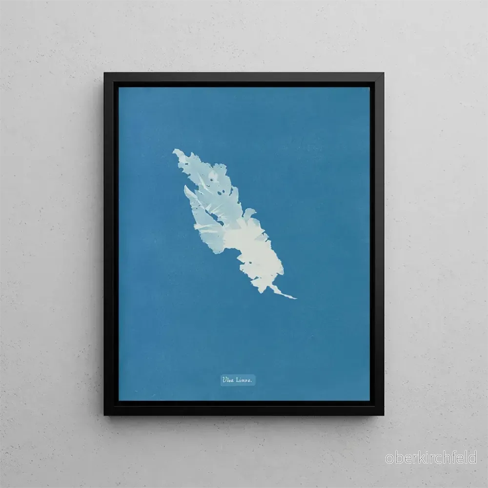 Målning Ulva linza – Anna Atkins | Konsttryck Målning Ulva linza – Anna Atkins | Konsttryck