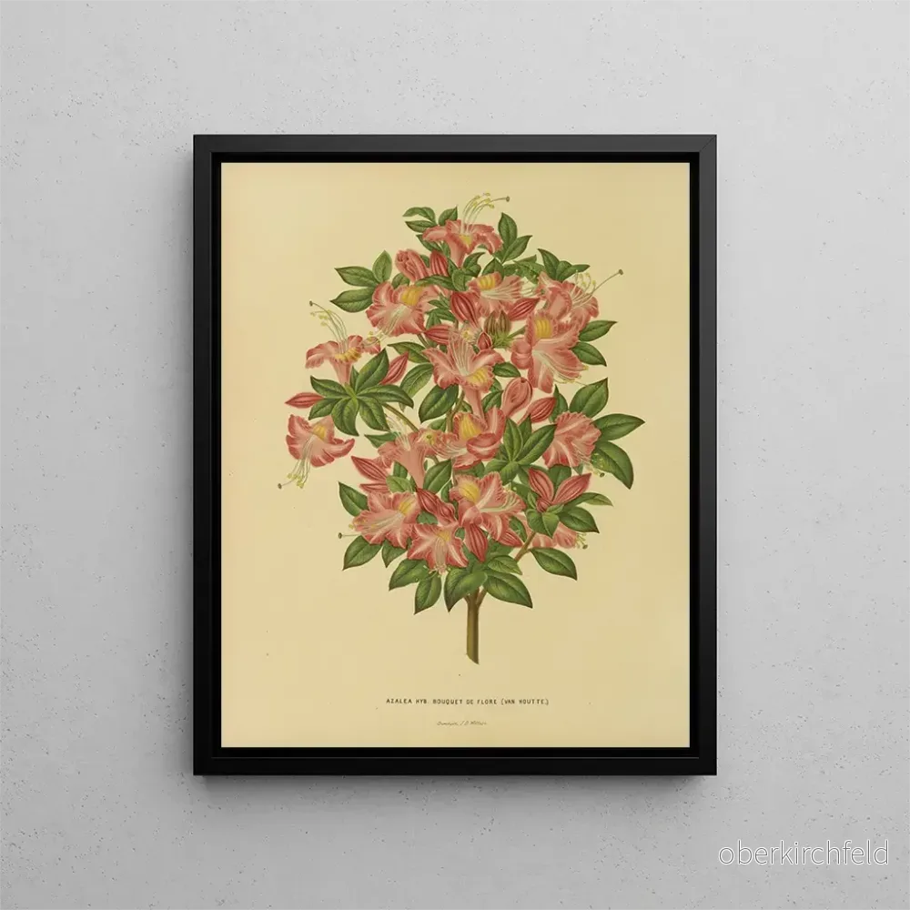 Målning av holländska blommor och Pomone Pl. 16 – Abraham Jacobus Wendel Målning av holländska blommor och Pomone Pl. 16 – Abraham Jacobus Wendel
