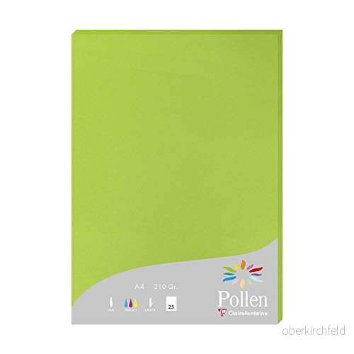 Clairefontaine Ref 24215C pollenfärgat papper (paket med 25 ark) A4 (210 x 297 mm), 210 gsm papper, bläckstråleskrivare och laserskrivarkompatibel, syrafri intensivt grönt 3329680242157