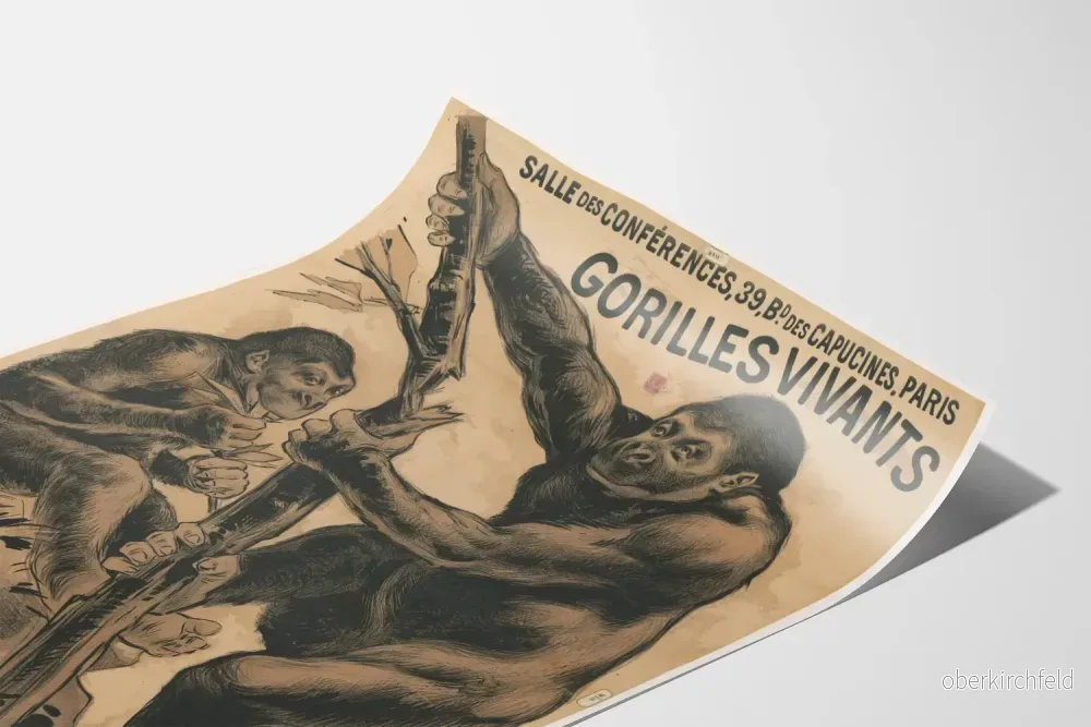 Vintageaffisch med levande gorillor - Djurväggdekoration - Bild 3