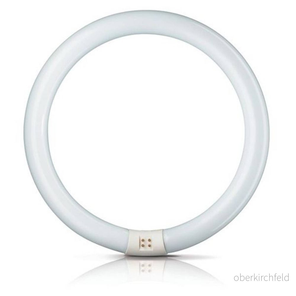 Philips G10q 32W 840 Lysrörsring Master Circular TL-E 8711500559685
