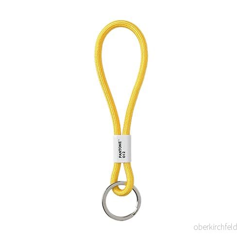 Pantone design nyckelband Key Chain short nyckelring robust och färgglad kort aubergine 229 5711938028329