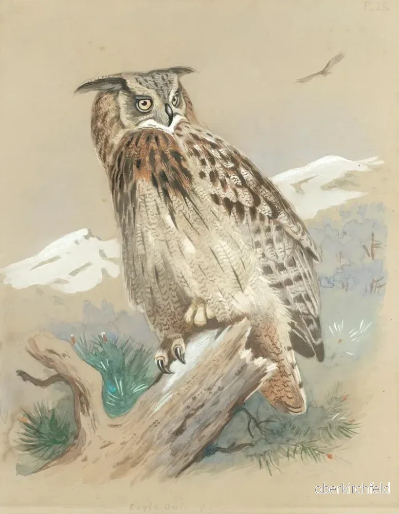 Målning Stor uggla - Archibald Thorburn | Konsttryck - Bild 2