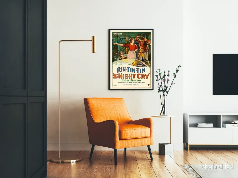 Vintageposter Rin Tin Tin The Night Cry Warner Bros - Bild 2