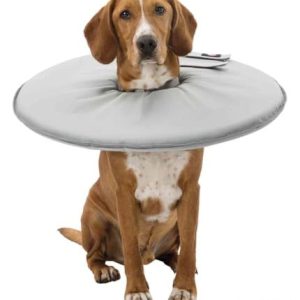 Trixie Protective collar polyester/foam S: 30 34 cm/19.5 cm grey 4047974194232 Trixie Protective collar polyester/foam S: 30 34 cm/19.5 cm grey 4047974194232