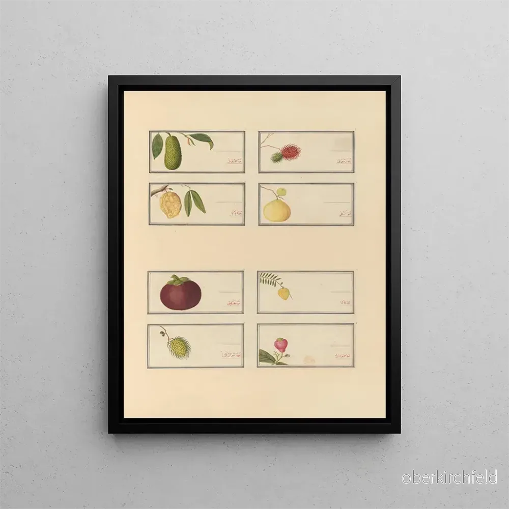 Målning Album d’aquarelles chinoises de fruits asiatiques Pl23 – Anonyme Målning Album d’aquarelles chinoises de fruits asiatiques Pl23 – Anonyme