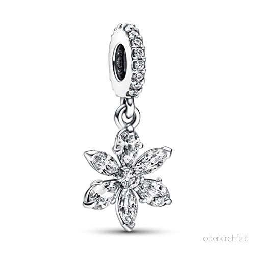 Pandora Timeless dam Berlock 792382C01 5700303014807
