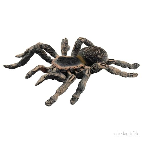 Bullyland 68457 leksaksfigur vitknä fågelspindel, ca 8,5 cm stor djurfigur, detaljrik, PVC fri, perfekt som en liten gåva för barn från 3 år 4007176684573