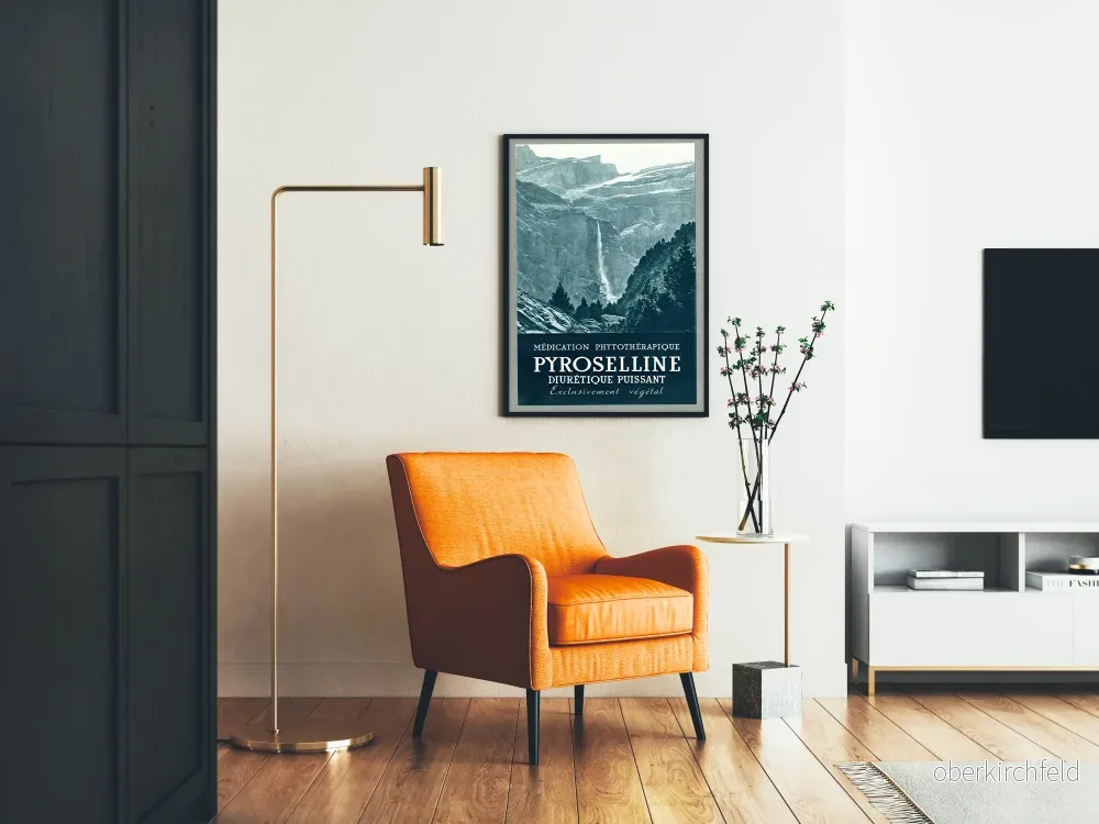 Vintageposter Pyroselline medicin växtbaserad diuretikum - Bild 2
